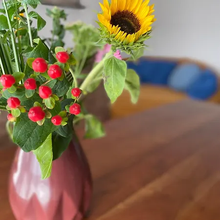 Vendégház Haus Aschauer Am Amtmannfeld *